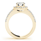 Double Shank Halo