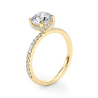 Hidden Halo Engagement Ring