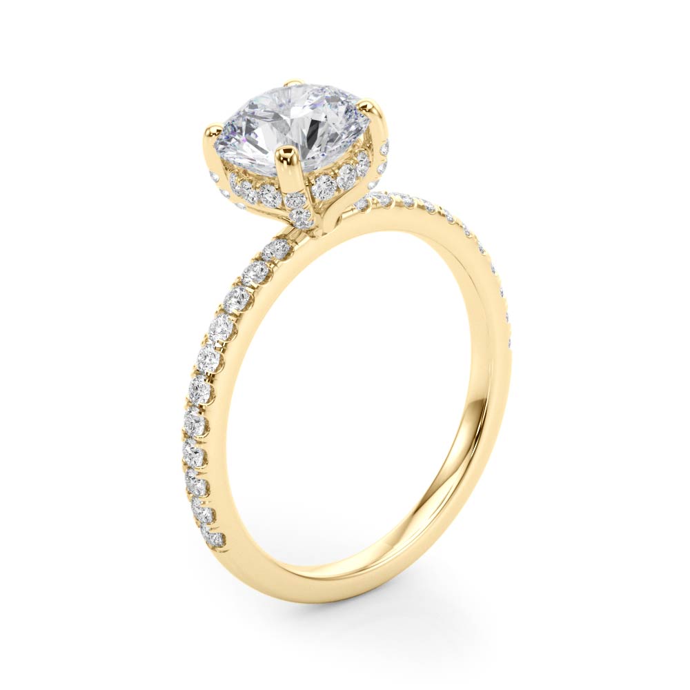Hidden Halo Engagement Ring