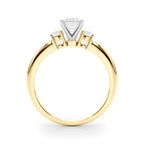 Everly 3 Stone 1.70 carat (Diamonds and Setting) Regular $1899.00 Now  $1549.00                                               (Diamond and Setting)