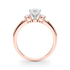 Everly 3 Stone 1.70 carat (Diamonds and Setting) Regular $1899.00 Now  $1549.00                                               (Diamond and Setting)