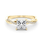 Princess & Diamond Accents  2.86 carat Regular $4450 NOW 1899.00 (Diamond and Setting)