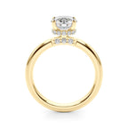 Crown Hidden Halo $799.00