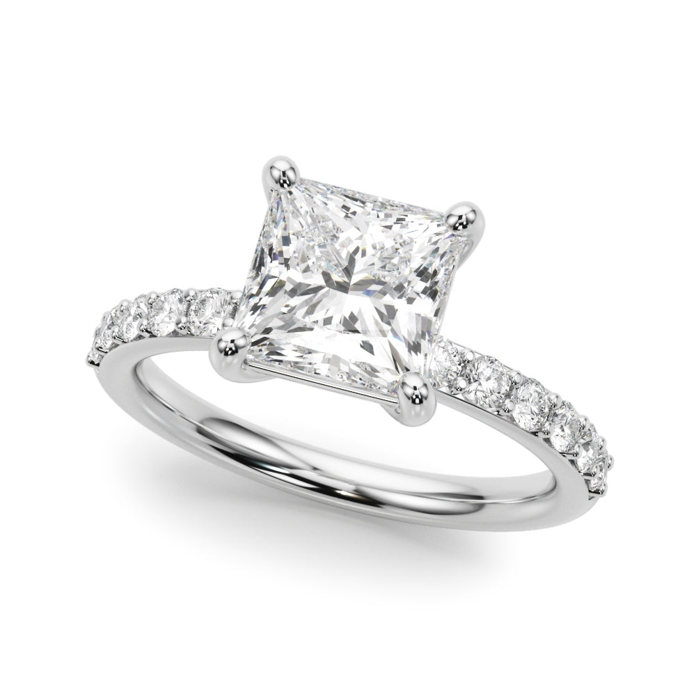 Princess & Diamond Accents  2.86 carat Regular $4450 NOW 1899.00 (Diamond and Setting)