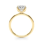 4 Prong Hidden Halo$1499.00