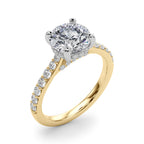 Destiny  Hidden Halo $1795.00