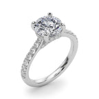 Destiny  Hidden Halo $1795.00