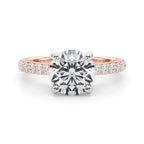 Destiny  Hidden Halo $1795.00