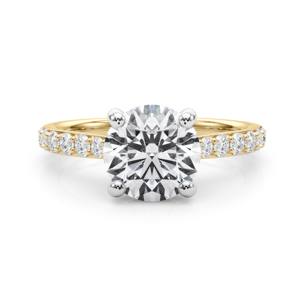 Destiny  Hidden Halo $1795.00