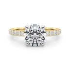 Destiny  Hidden Halo $1795.00