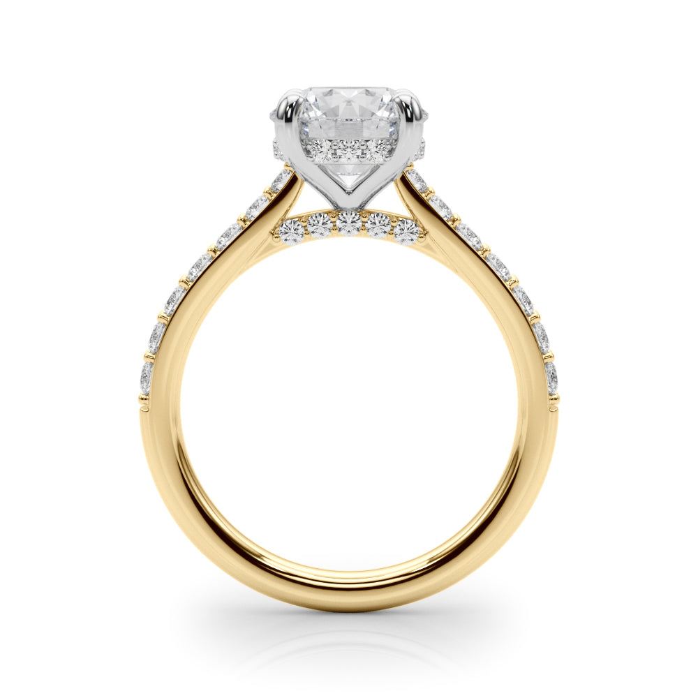 Destiny  Hidden Halo $1795.00