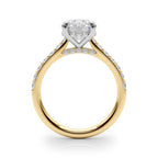 Destiny  Hidden Halo $1795.00