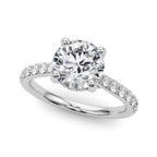 Destiny  Hidden Halo $1795.00
