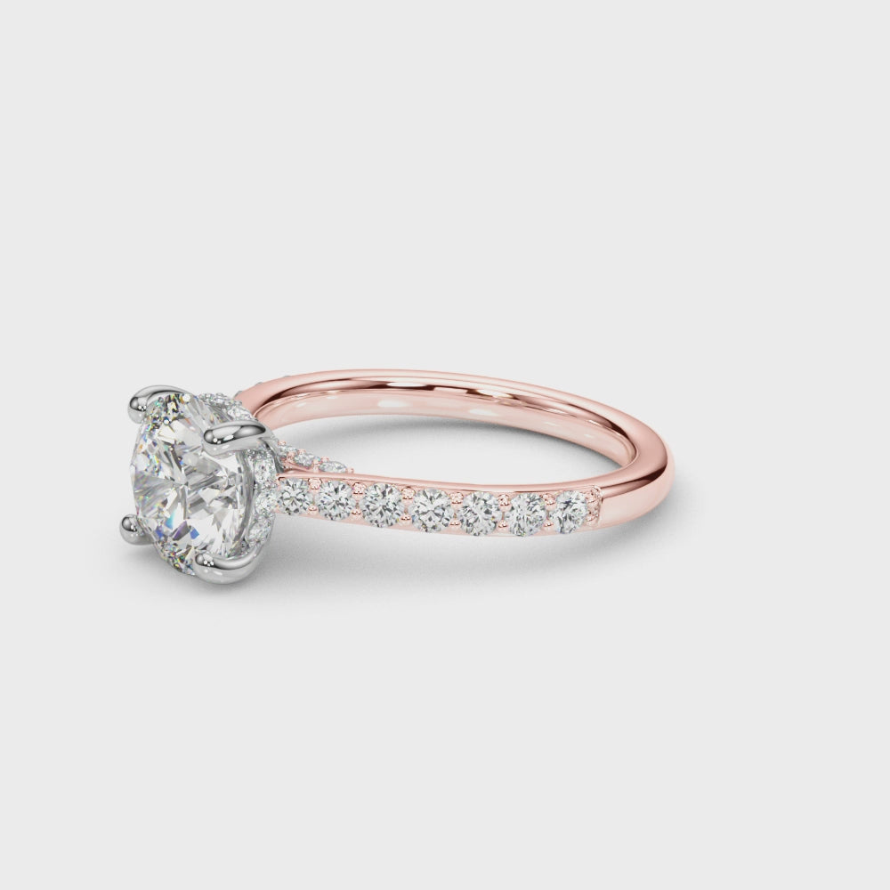 Destiny  Hidden Halo $1449.00