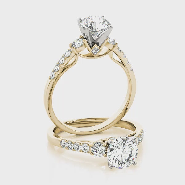 Brighton $1899.00
