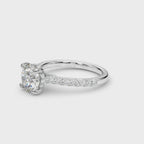 Destiny  Hidden Halo $1449.00