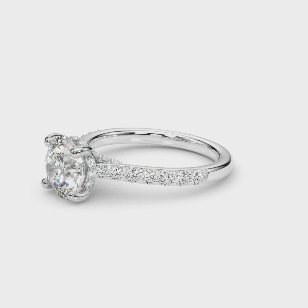 Destiny  Hidden Halo $1449.00