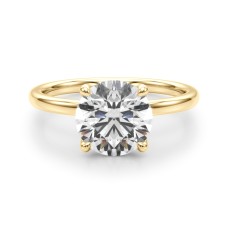 4 Prong Hidden Halo$1250.00